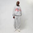 Karl Kani OG Eagle Print Oversized Hoodie grau 30742 4