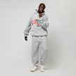 Karl Kani Small Signature Oversized Sweatpants grau 30804 4