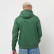 Fanatics Green Bay Packers Graphic Hoodie grün 30896 2
