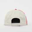 Recap Logo Graphics - Unstructured 5 Panel multicolor 31191 2
