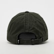 Karl Kani Retro Distressed Dad Cap grün 31330 2