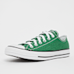 Converse Chuck  Taylor All Star cinzento 31361 2