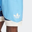 adidas Originals adicolor Next Swim Trunks azul 31618 4