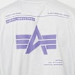 Alpha Industries Logo Back Print Tee gris 31775 5