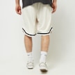 Pegador Lansing Baskteball Shorts bež 31937 2