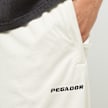 Pegador Lansing Baskteball Shorts bež 31937 3