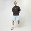 Pegador Lansing Baskteball Shorts bleu 31938 4