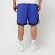 Low Lights Studios Allstars Football Mesh Short blauw 32023 2