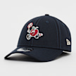 New Era 9Forty NE Repreve Character Apple blauw 32043 1