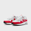 Nike Air Max 1 (GS) multicolor 32128 4