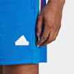 adidas Originals House of Tiro Nations Pack Shorts blau 32146 4
