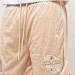 New Era World Series Mesh Shorts Arizona Diamondbacks siva 32348 3