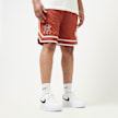 New Era World Series Mesh Shorts New York Yankees grau 32352 1