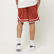 New Era World Series Mesh Shorts New York Yankees grau 32352 2