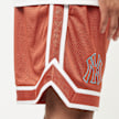 New Era World Series Mesh Shorts New York Yankees grau 32352 4