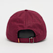 DJINNS Dad Cap Bitter rot 32407 2