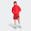 adidas Originals Graphics Hoodie rot 32556 5