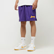 Nike Los Angeles Lakers NBA Mesh-Shorts ljubičasta 32670 1