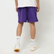 Nike   Los Angeles Lakers NBA Mesh-Shorts morado 32670 2