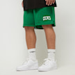 Nike Boston Celtics NBA Mesh Shorts verde 32671 1