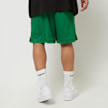 Nike Boston Celtics NBA Mesh Shorts verde 32671 2
