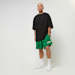 Nike Boston Celtics NBA Mesh Shorts verde 32671 5