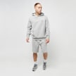 Polo Ralph Lauren Fleece Hoodie gris 32711 4