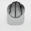 Jordan Jordan Fly Cap US FB Jumpman grigio 29886 3