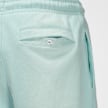 Jordan Flight Washed Fleece Pants bleu 29903 5