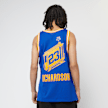 Mitchell & Ness Jason Richardson NBA Golden State Warriors 2004/05 Swingman Jersey bleu 33102 2