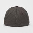 Flexfit Flexfit Cap grijs 33156 2