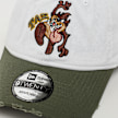 New Era 9Twenty Washed WB TAZ multicolore 33195 4