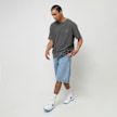 Carhartt WIP Shortsleeve Nelson T-Shirt grigio 33315 4