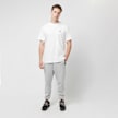 Capacité Globe Logo Tee biały 33373 5