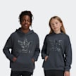 adidas Originals Hoodie grijs 45638 1