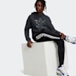 adidas Originals Hoodie grijs 45638 4