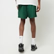 New Balance Sport Essentials Mesh Short 5" verde 41656 2