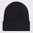 Polo Ralph Lauren Cold Weather Hat azul 45492 2