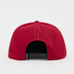 Jordan Pro Cap S FB Jumpman rood 41599 2