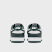 Nike   Dunk Low Retro vert 43160 5