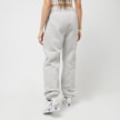 Nike Wmns Sportswear Fleece Pant grau 45662 2