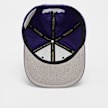 Mitchell & Ness XL Logo Snapback Los Angeles Lakers roze 45793 3