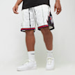 Mitchell & Ness Swingman Shorts Toronto Raptors multicolor 40214 1