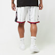 Mitchell & Ness SWINGMAN SHORTS TORONTO RAPTORS  white / white multicolor 40214 3