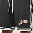 Mitchell & Ness NBA Destination Leisure Gameday Shorts LA Lakers zwart 40229 3