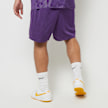 Mitchell & Ness NBA Gameday Mesh 7" Shorts Vintage Logo La Lakers pourpre 40240 2