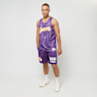 Mitchell & Ness NBA Reversible Mesh Tank Vintage Logo La Lakers roze 40243 8