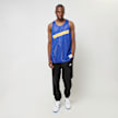Mitchell & Ness NBA Reversible Mesh Tank Vintage Logo Golden Warriors blu 40245 8