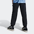 adidas Originals Cargo Broek zwart 42027 2