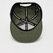 Jordan Pro Cap Jumpman groen 42494 3
